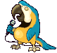 bird97.gif (10435 octets)