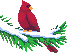 cardinal.gif (2479 octets)