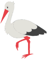 cigogne-syl 2.gif (9644 octets)