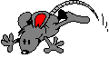 rat.gif (2966 octets)