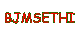 bjm_ani.gif (1234 octets)
