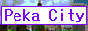 pekacity3.gif (6006 octets)