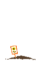 Tournesol_02.gif (6338 octets)