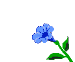 an_flr_bleu.gif (1979 octets)